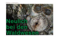 Neulich bei den Waldwesen : fabelhafte Szenen aus dem Leben der Waldwesen （2022. 48 S. 46 Abb. 19 x 28 cm）