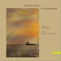 Bald kommen die Abendvögel （1. Aufl. 2014. 100 S. m. Illustr. 20,5 cm）