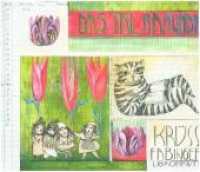 Das Tal Ramunde : Bilderbuch （2018. 32 S. 24 Abb. 29.4 cm）