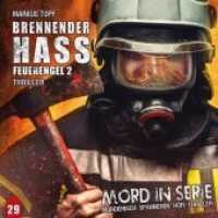 Mord in Serie - Brennender Hass - Feuerengel 2, 1 Audio-CD : 66 Min. (Mord in Serie 29) （2017. 142 x 126 mm）