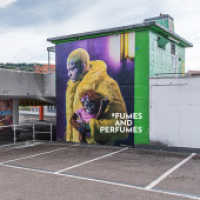 FUMES AND PERFUMES : Ten Years of Contemporary Photography （2024. 290 S. 23 cm）
