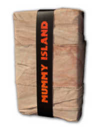 Sacer Sanguis Maniac : Mummy Island (Sacer Sanguis - Heiliges Blut Bd.6) （1. Aufl. 2013. 500 S. 18 cm）