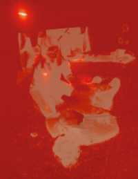 Prisma : Ozlem Altin （1. Auflage. 2024. 112 S. Zahlreiche Farbabbildungen. 285.00 mm）