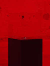 The End of the World : Alfredo Jaar （1. Auflage. 2025. 256 S. Farbabbildungen. 200.00 mm）