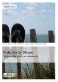 Risikofaktor Stress : So lernen Sie, richtig zu entspannen （2013. 88 S. 210 mm）