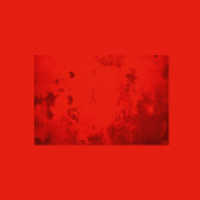 Light Vol.5 （2025. 184 S. 297 mm）