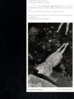 Sento : Vorw. v. Yoshinori Nomura. Mit e. Essay von Rita Zobel u. e. Gespräch m. Peter Bialobrzeski （2008. 96 S. m. 41 Duotone-Abb.）