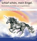 Schlaf schön, mein Engel, 1 Audio-CD : Einschlafhilfe für Kinder und Junggebliebene. 46 Min. （2008）
