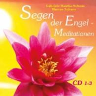 Segen der Engel - Meditationen, 3 Audio-CDs : 189 Min. （2015. 141 x 130 mm）