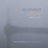 Novemberasche, 1 MP3-CD : MP3 Format, Lesung. 547 Min. (Edition Bodensee) （2019. 141 x 127 mm）