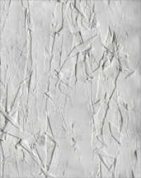 Tone Fink - solo.tone (artedition | Verlag Bibliothek der Provinz) （NED. 2024. 368 S. zahlr. farb. Abb. 30 cm）