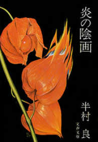 炎の陰画