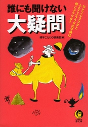 誰にも聞けない大疑問 ＫＡＷＡＤＥ夢文庫