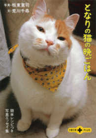 となりの猫の晩ごはん