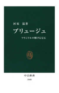 ブリュージュ　フランドルの輝ける宝石 中公新書