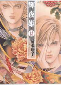 白泉社文庫<br> 輝夜姫　13巻