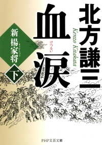 血涙 （下） 新楊家将（ようかしょう）