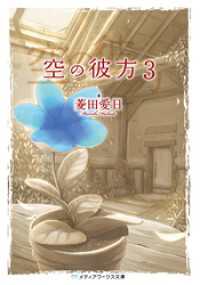 空の彼方3