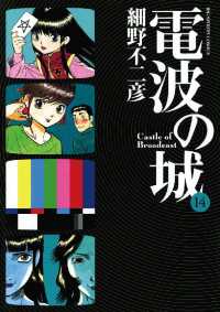 電波の城（１４） ビッグコミックス