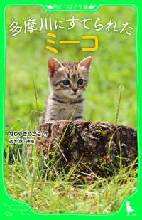 多摩川にすてられたミーコ 角川つばさ文庫