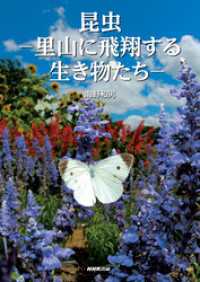 昆虫　里山に飛翔する生き物たち