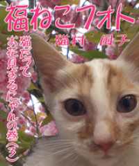 福ねこフォト～プニプニ猫にゃん　猫だってお花見するにゃんの巻（3）