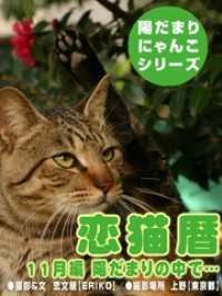 恋猫暦～11月編 陽だまりの中で…