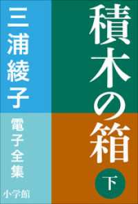 積木の箱（下）