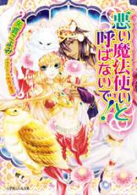 悪い魔法使いと呼ばないで！2 ルルル文庫