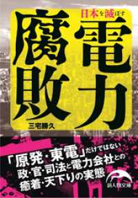 新人物文庫<br> 日本を滅ぼす電力腐敗