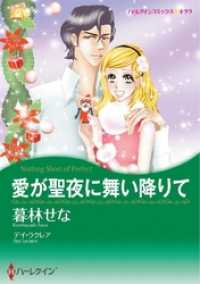 愛が聖夜に舞い降りて本編