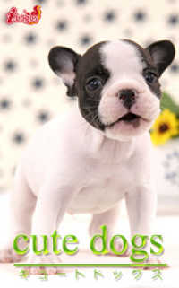 ԢŹ֥ȥ㤨cute dogs21 ե֥ɥåפβǤʤ378ߤˤʤޤ