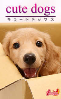 cute dogs24 ダックスフンド