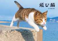 角川マガジンズ<br> 飛び猫