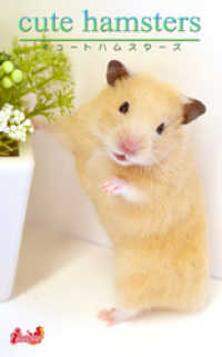 cute hamsters03 キンクマハムスター