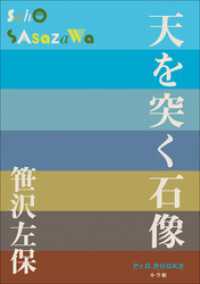 P+D BOOKS　天を突く石像 P+D BOOKS