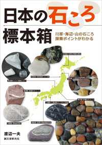 日本の石ころ標本箱 - 川原・海辺・山の石ころ採集ポイント