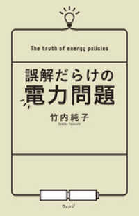 誤解だらけの電力問題