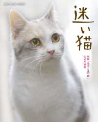 迷い猫 扶桑社ＢＯＯＫＳ