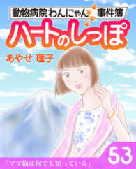 ハートのしっぽ５３ 週刊女性コミックス