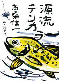 源流テンカラ 山と溪谷社