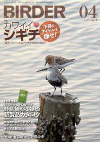 BIRDER2013年4月号