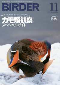 BIRDER2015年11月号