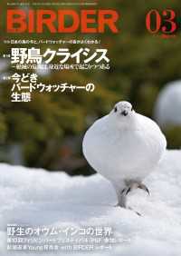 BIRDER2016年3月号