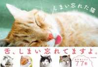 単行本<br> しまい忘れた猫