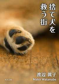 角川文庫<br> 捨て犬を救う街