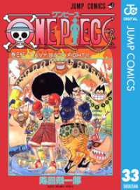 ONE PIECE モノクロ版 ウォーターセブン編 33～45巻セット