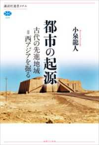 講談社選書メチエ<br> 都市の起源　古代の先進地域＝西アジアを掘る