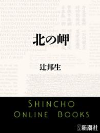新潮文庫<br> 北の岬