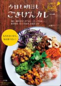 今日も明日も　ごきげんカレー～カレー粉だけで、すぐカレー、じっくりカレー、自家製ルーもつくりおき、全66レシピ～